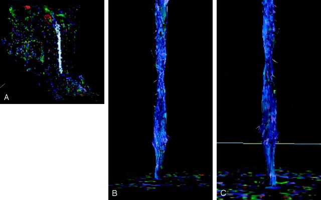 Fig 1.