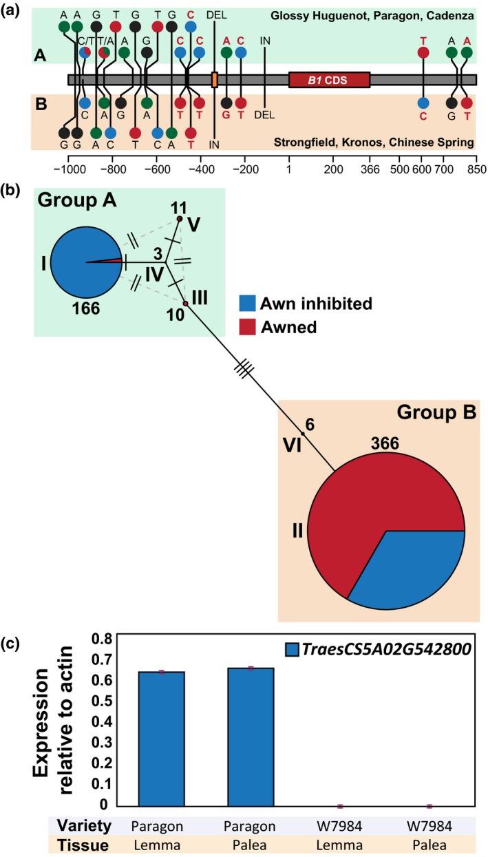 Figure 7