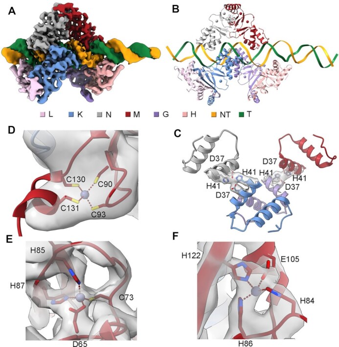 Figure 2.