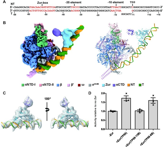 Figure 4.