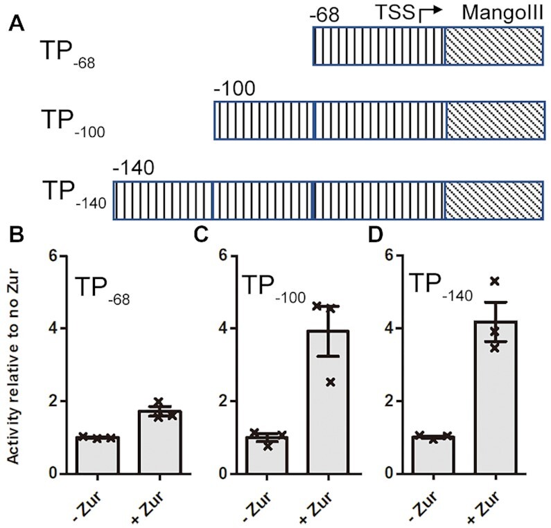 Figure 1.