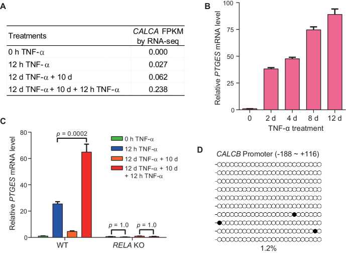 Figure 3—figure supplement 1.