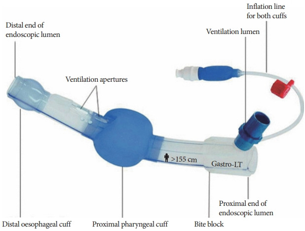 Fig. 14.