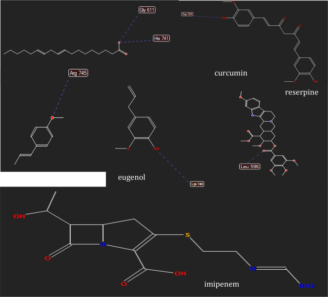 Supplementary Figure S1.