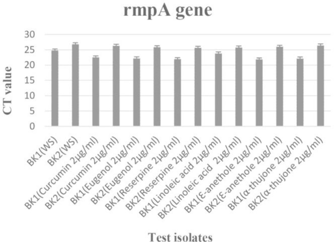 Figure 2A: