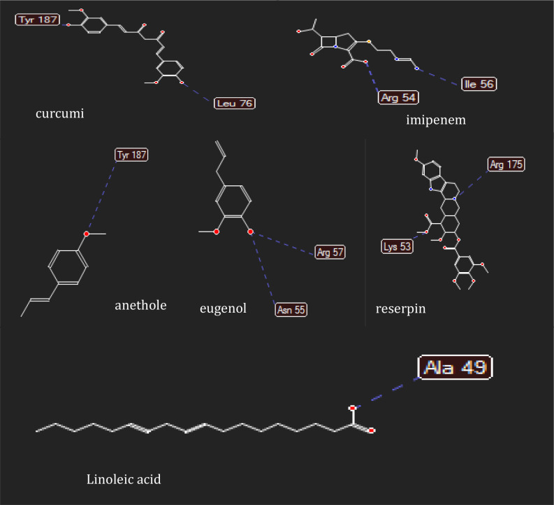 Supplementary Figure S2.