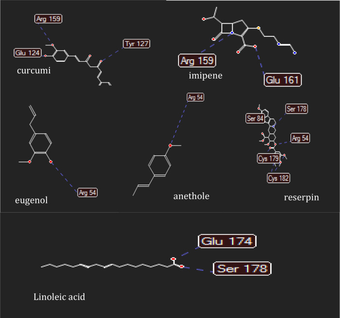 Supplementary Figure S3.