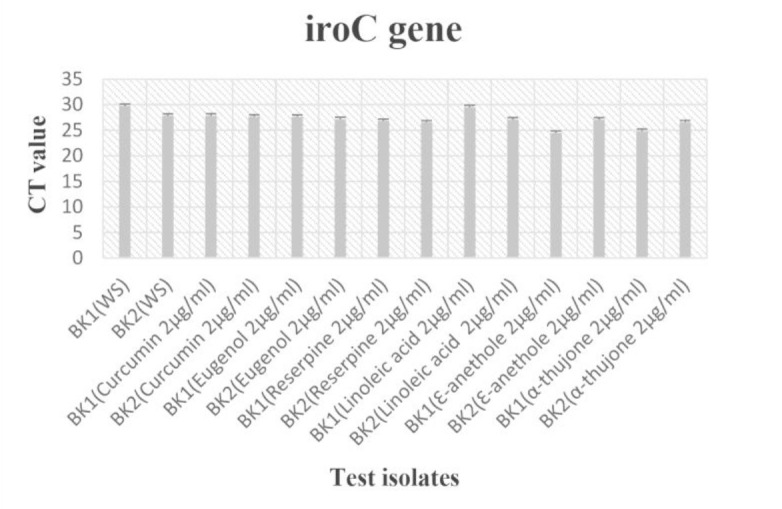Figure 2C: