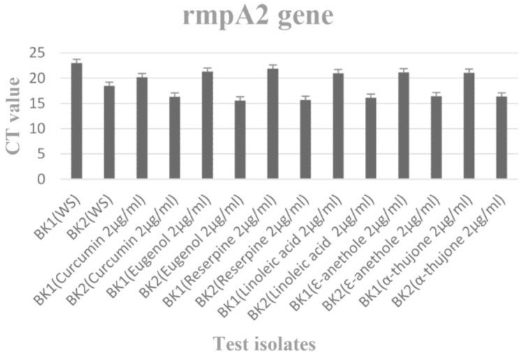 Figure 2B: