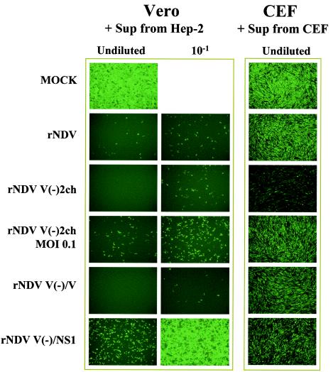 FIG. 4.