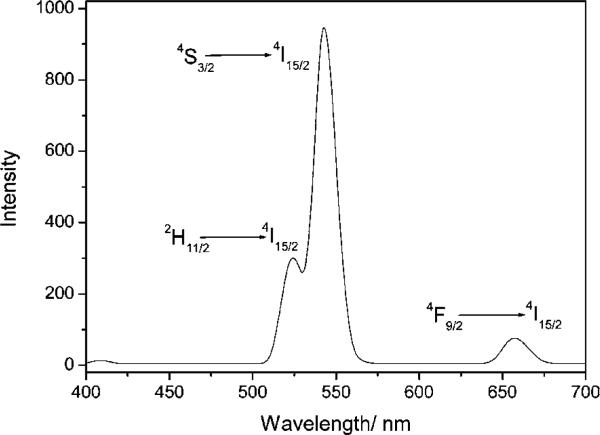 Fig. 5