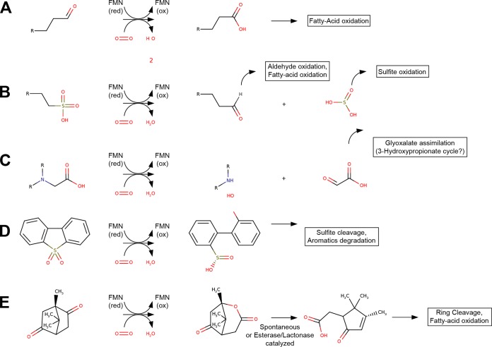 FIG 3 