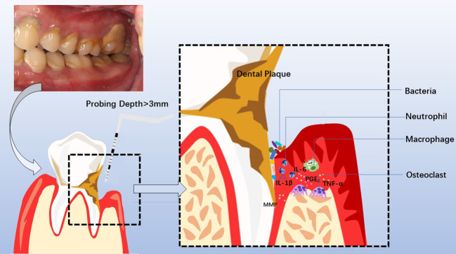 Figure 2