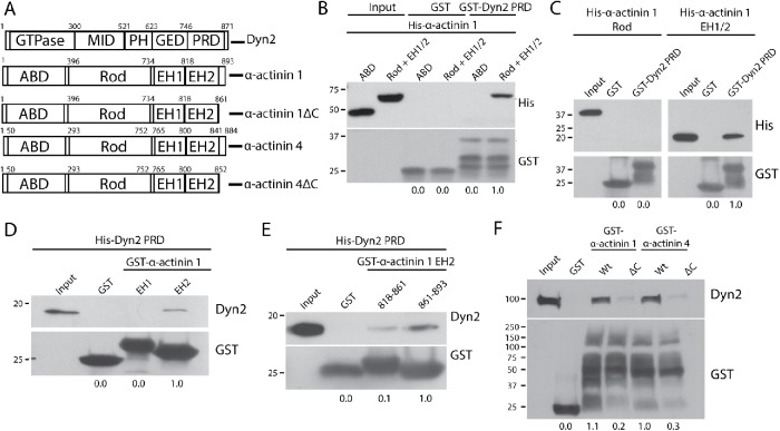 FIGURE 3: