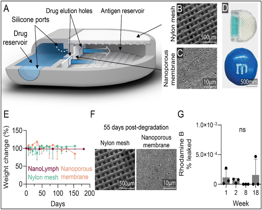 Figure 2: