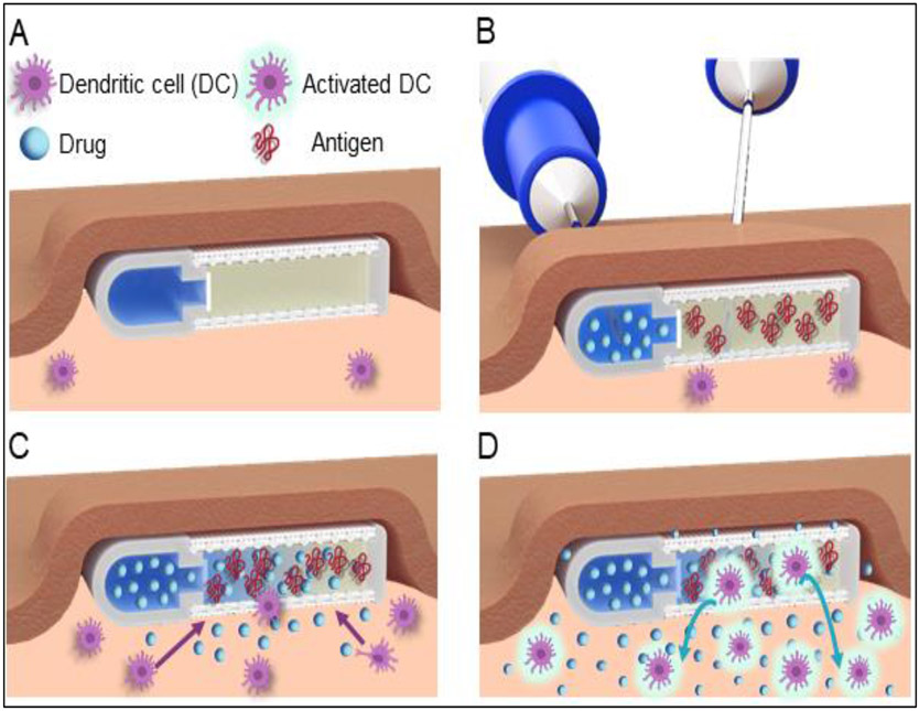 Figure 1: