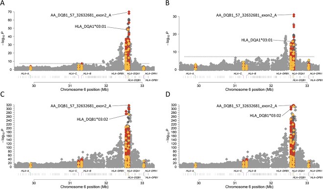 Although the genetic variant in the HLA region associated with type 1 diabetes risk is the same across genetic ancestry, the amino acid residue differs between European and African or Hispanic ancestry. (A) The most significant HLA region genetic variant associated with type 1 diabetes risk in African ancestry individuals is in the DQB1 gene but the most significant amino acid residue is in the DQA1 gene. (B) In admixed (mainly Hispanic/Latino) ancestry individuals, the most significant HLA region genetic variant associated with type 1 diabetes risk is in the DQB1 gene and the most significant amino acid residue is in the DQA1 gene, the same as in African ancestry individuals. (C) The most significant HLA region genetic variant associated with type 1 diabetes risk in European ancestry individuals is in the DQB1 gene, the same as in those of African and admixed individuals, but the most significant amino acid residue is different, in the DQB1 gene. (D) In individuals of African, admixed, and European ancestry, the most significant HLA region genetic variant associated with type 1 diabetes risk is in the DQB1 gene and the most significant amino acid residue is in the DQB1 gene.