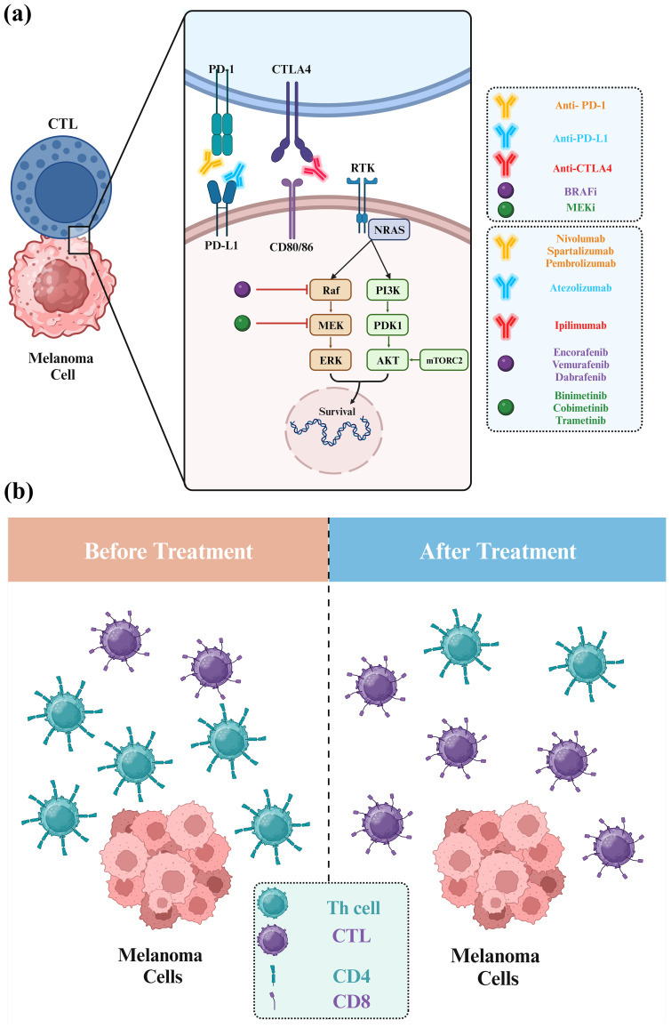 Figure 7