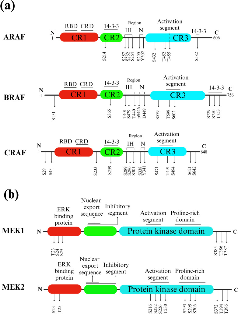 Figure 3