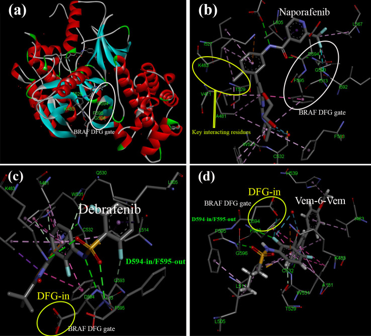 Figure 6