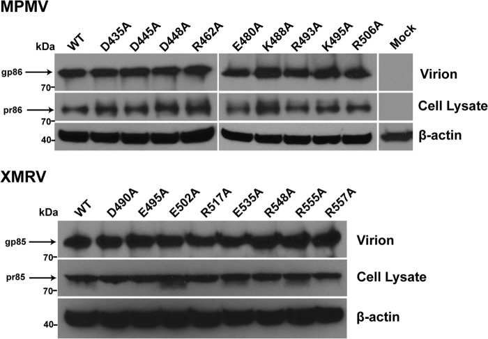 FIG 4