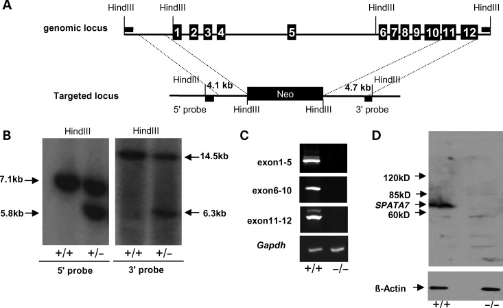 Figure 4.