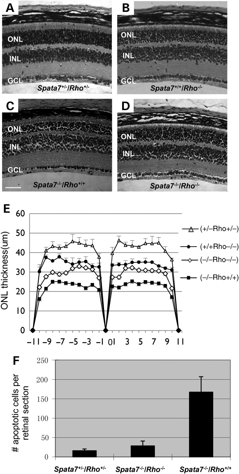 Figure 10.