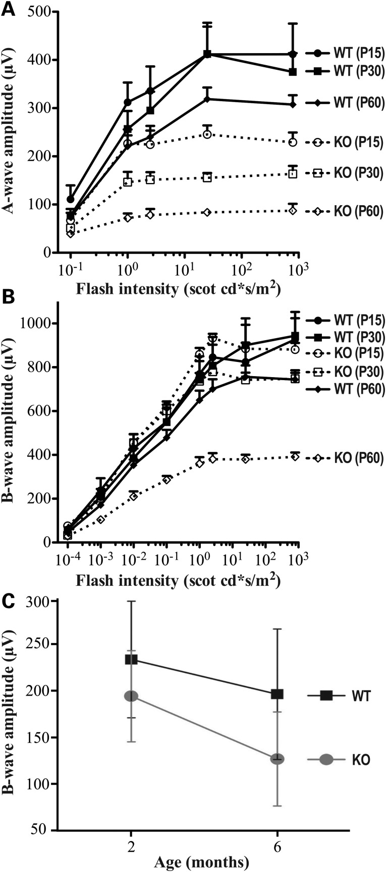 Figure 7.