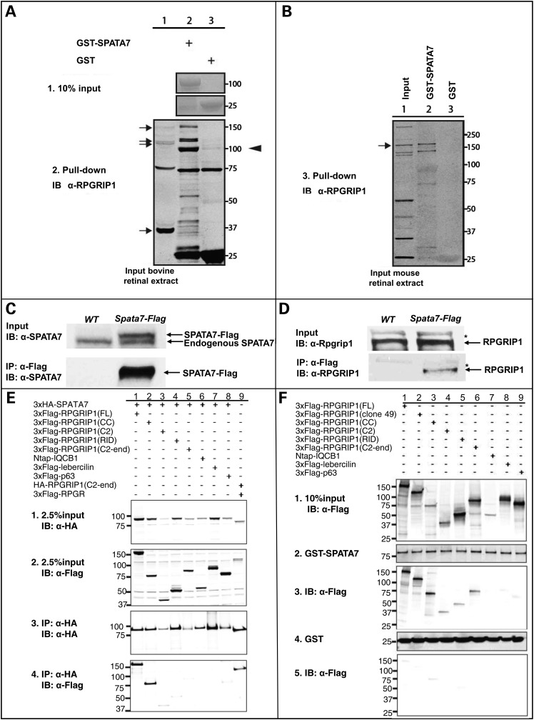 Figure 3.