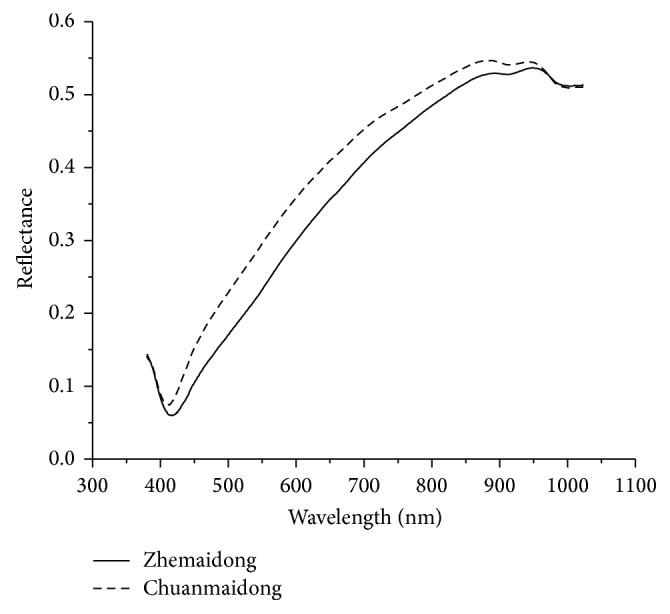 Figure 2