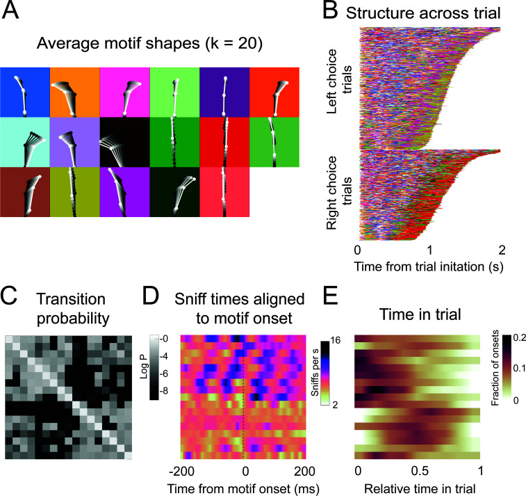 Figure 6—figure supplement 4.