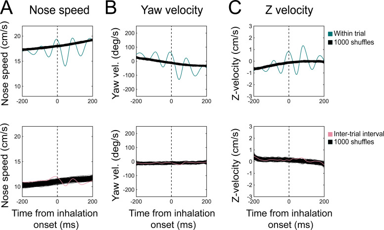 Figure 5—figure supplement 1.