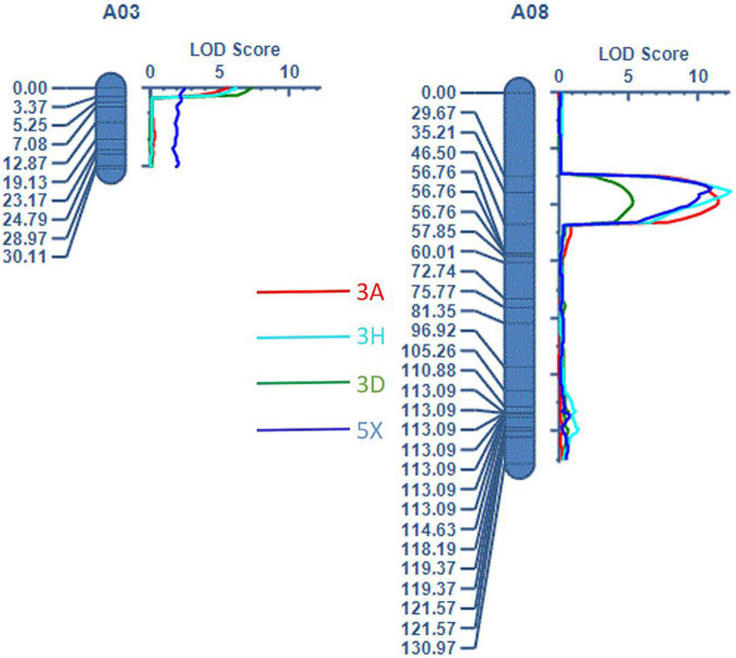 FIGURE 3