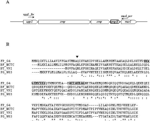 FIG. 7.