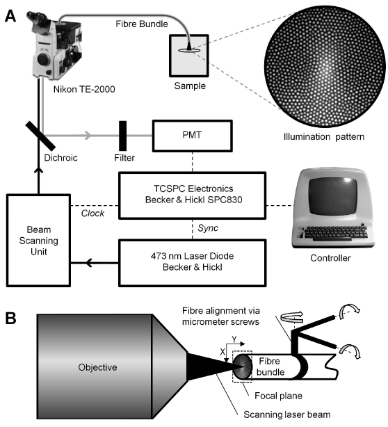 Fig. 1