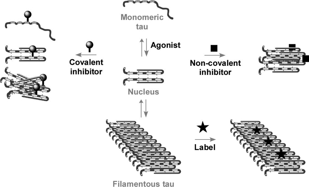 Fig. (1)