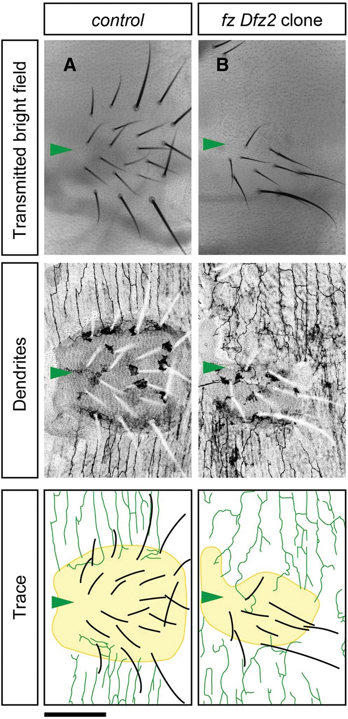 Figure 3.