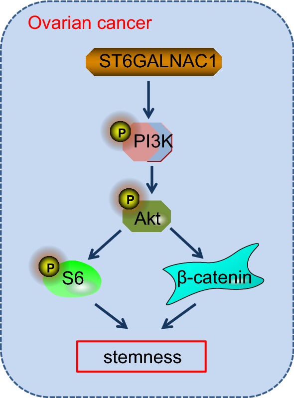 Fig. 10