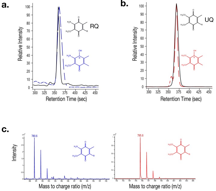 Figure 2—figure supplement 1.