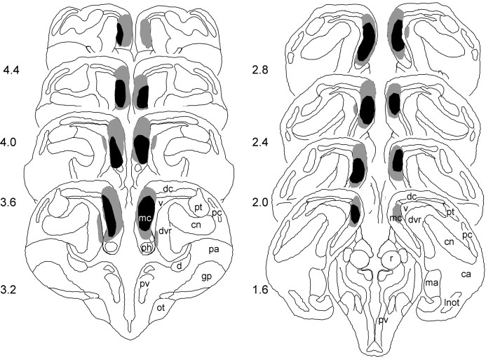 Fig. 4.