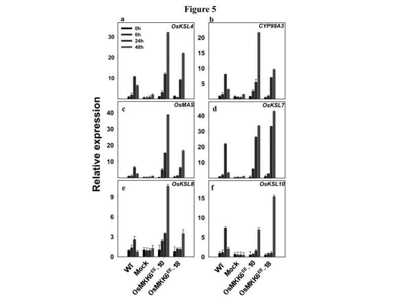 Figure 5