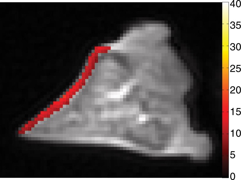 Figure 4d: