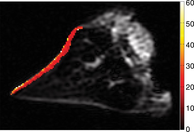 Figure 4b: