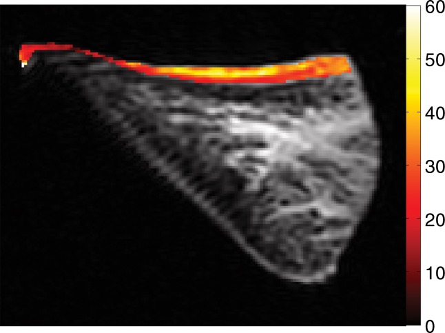 Figure 4e: