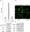 FIG 9