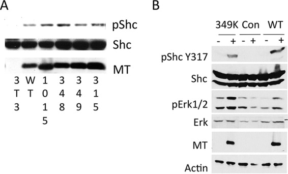 FIG 6