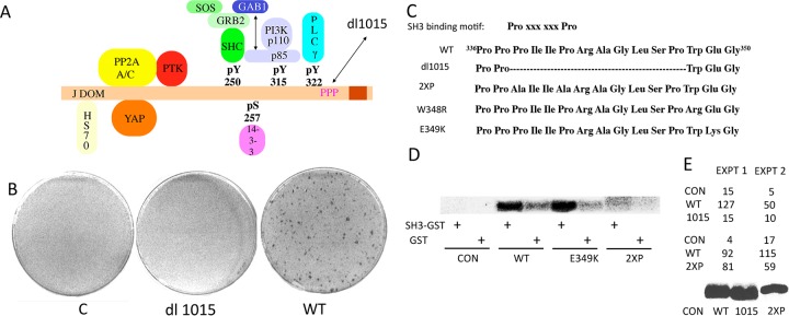 FIG 1