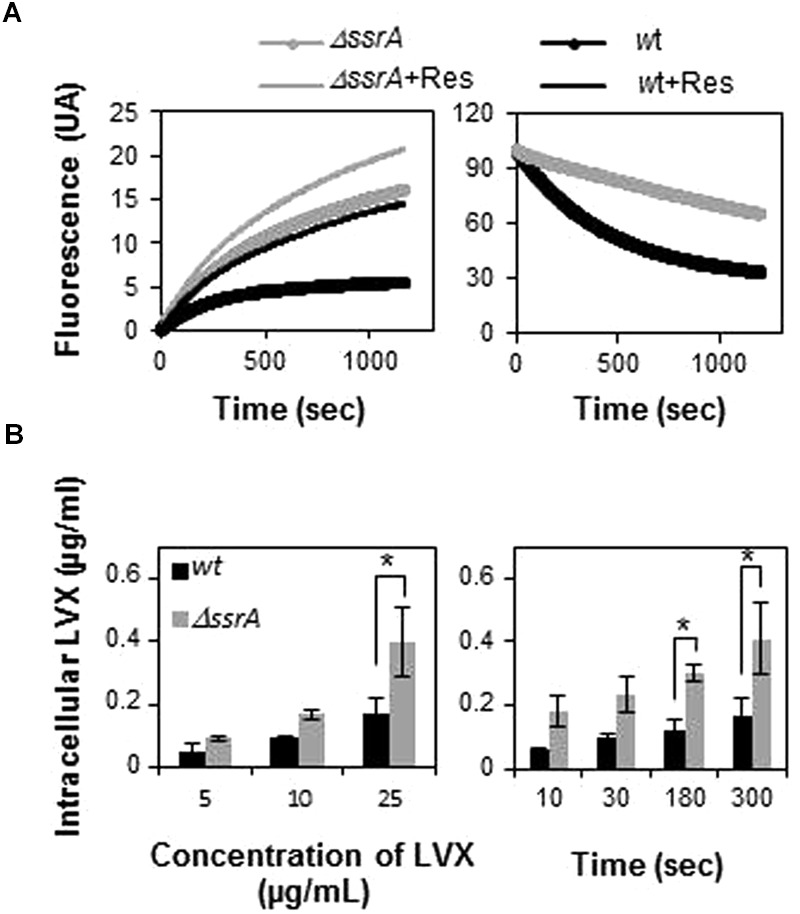 FIGURE 4