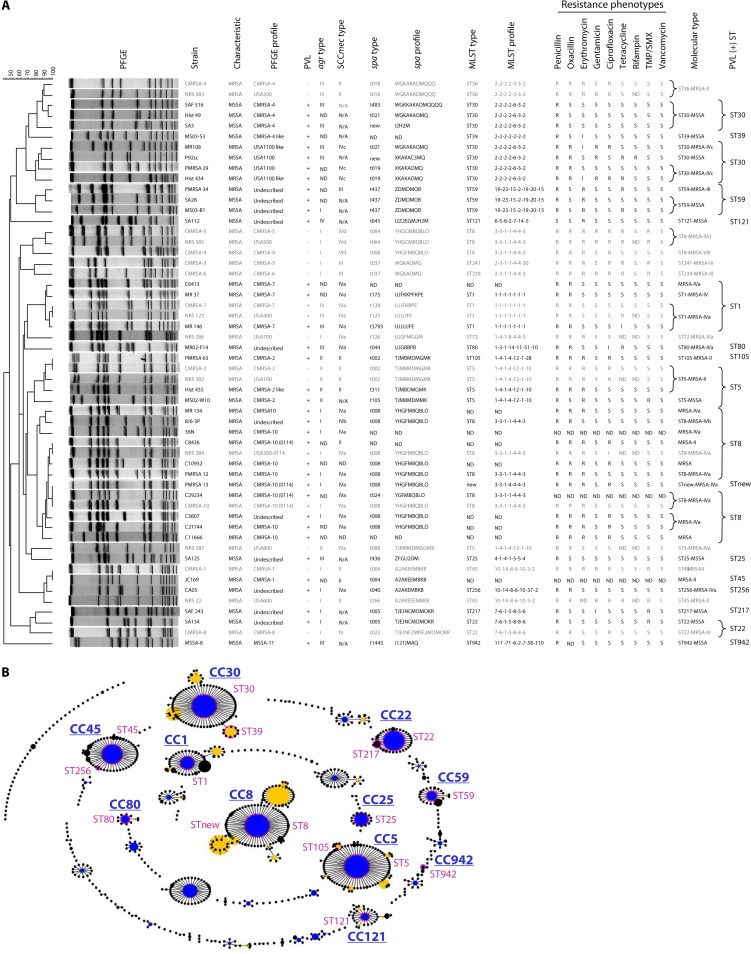 FIG 6