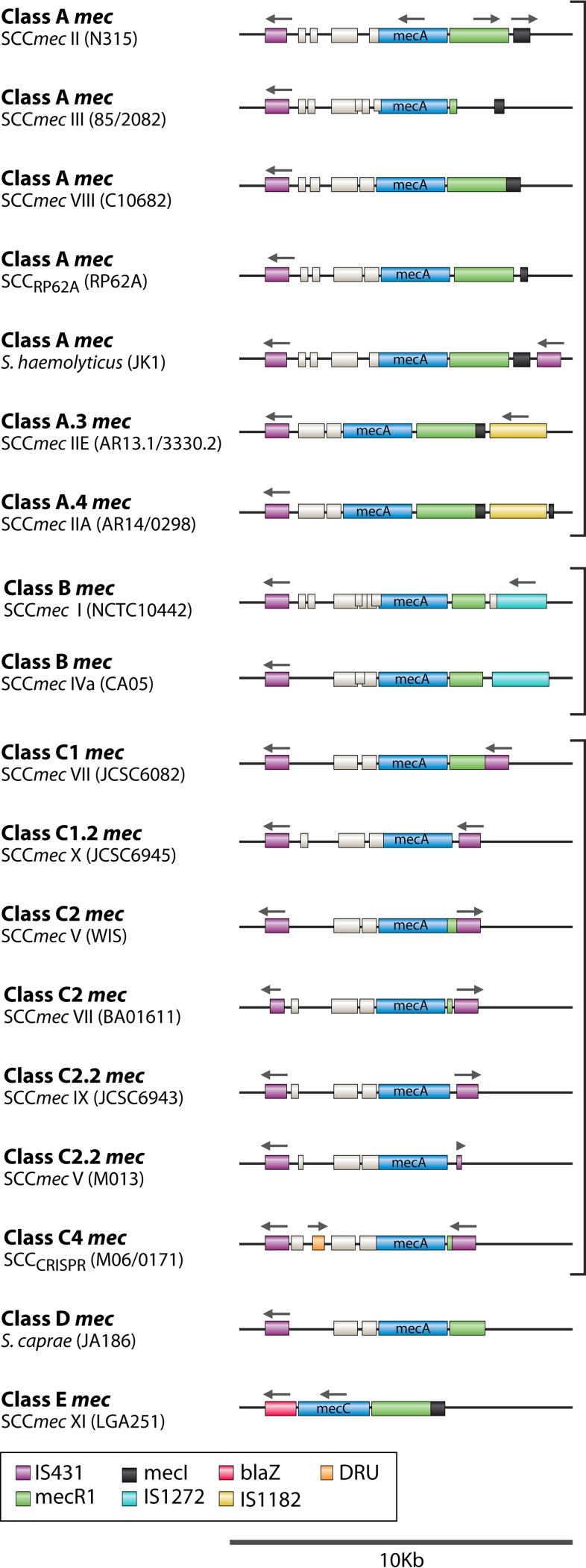 FIG 2